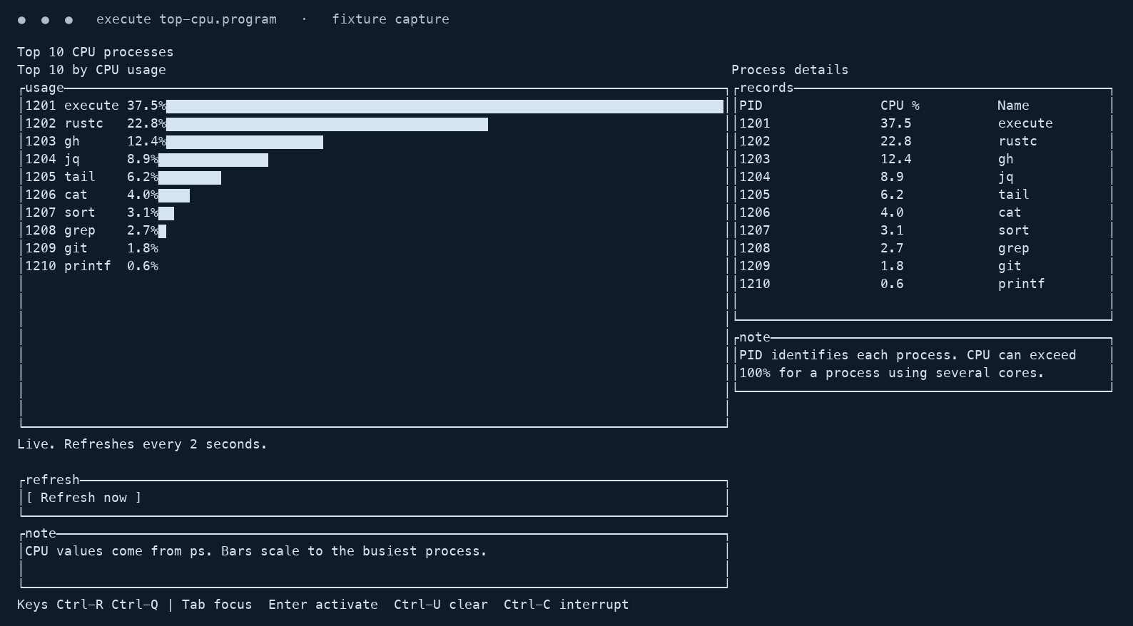 Actual Execute TUI frame with CPU bar chart and process table, using deterministic fixture data